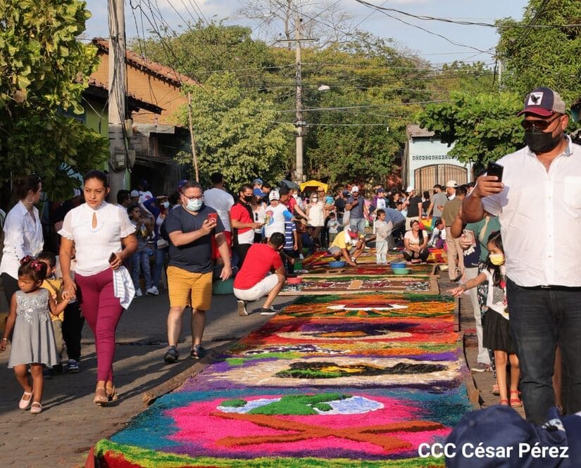alfombra